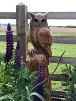 a. Eagle Owl.jpg